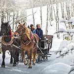 Alpenparks Glemmrise Lejlighedshotel 4*