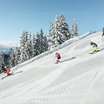 Alpenparks Glemmrise Aparthotel 4*