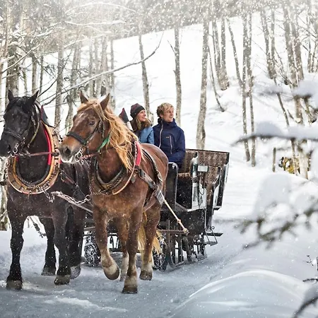 Alpenparks Glemmrise شقة فندقية 4*