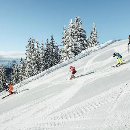 Alpenparks Glemmrise شقة فندقية 4*