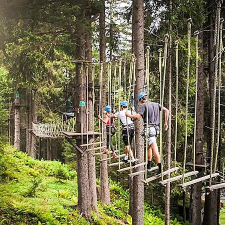 Alpenparks Glemmrise Viehhofen