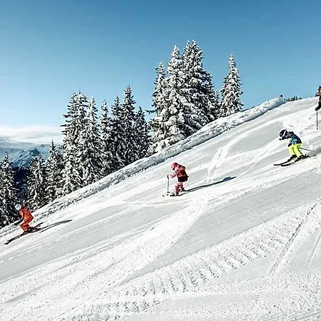 Alpenparks Glemmrise Viehhofen